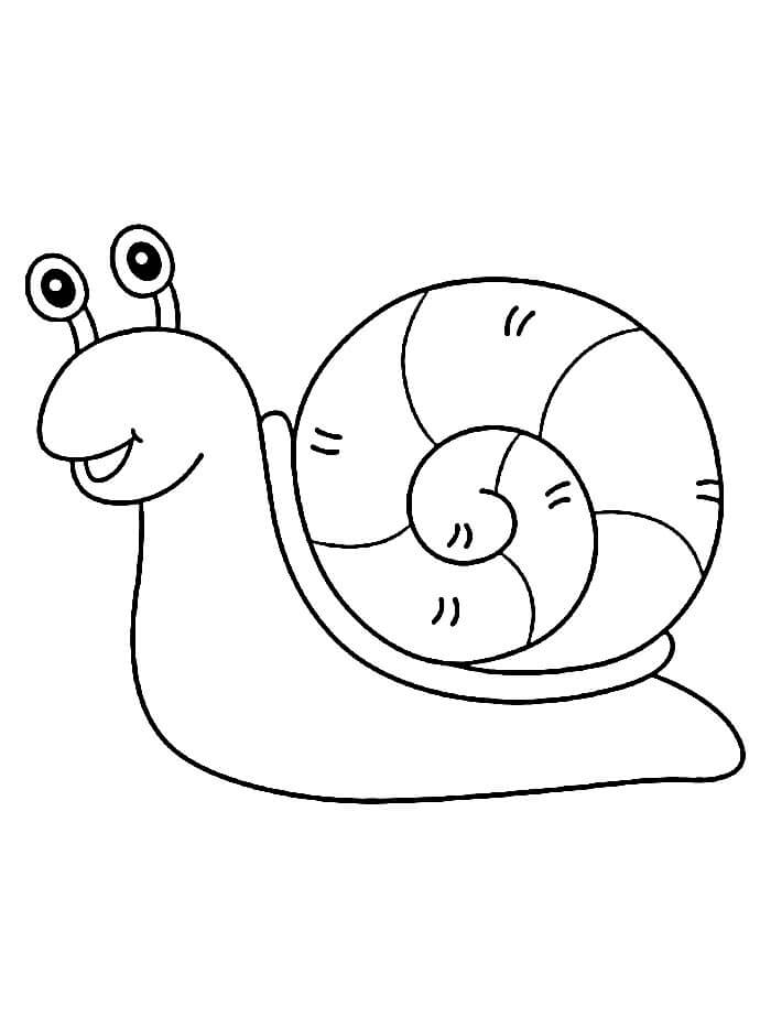 Immagine Stampabile Lumaca da colorare