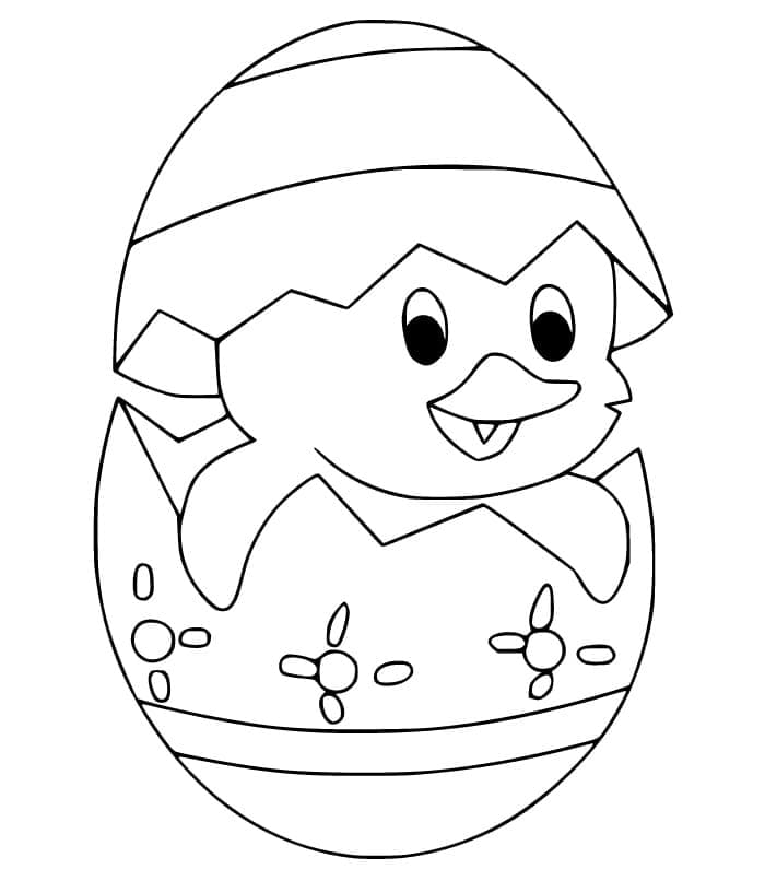 Immagine Stampabile Pulcino di Pasqua da colorare