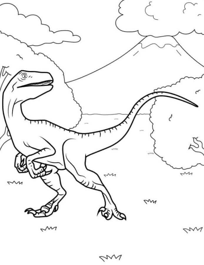 Immagine Stampabile Velociraptor da colorare