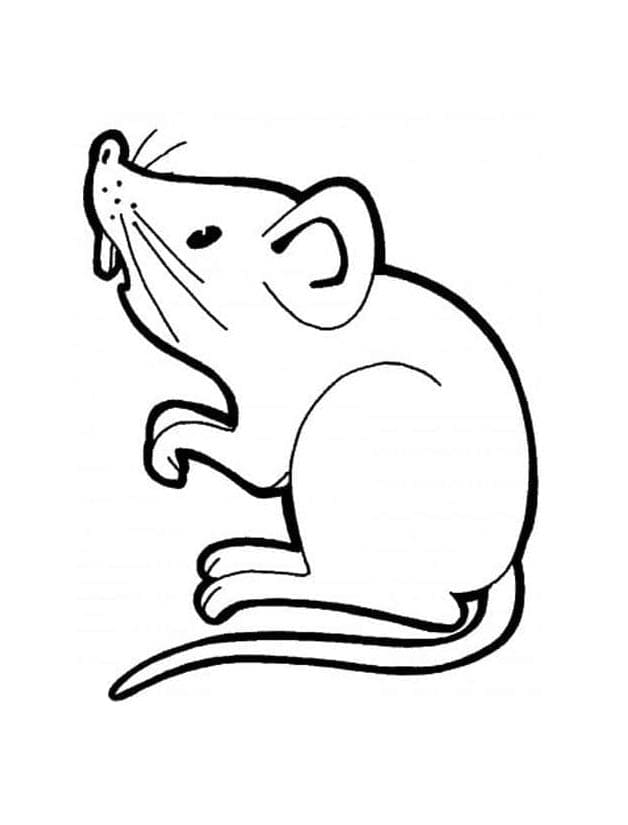 Immagine Topo da colorare