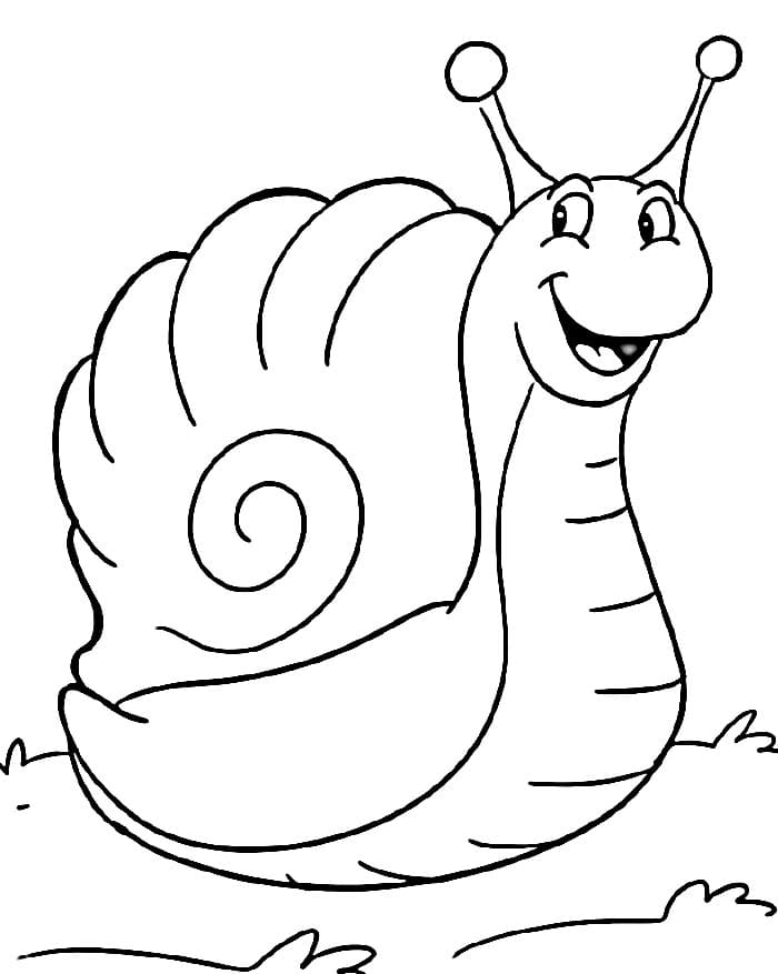 Lumaca Amichevole da colorare
