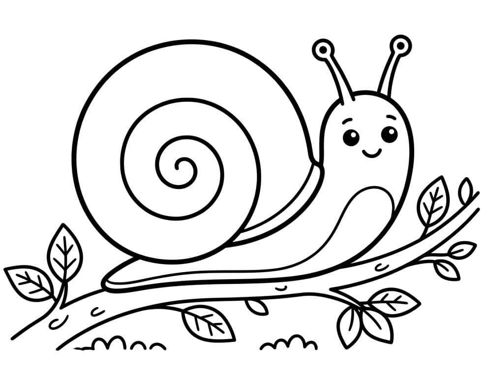 Lumaca Tenerissima da colorare