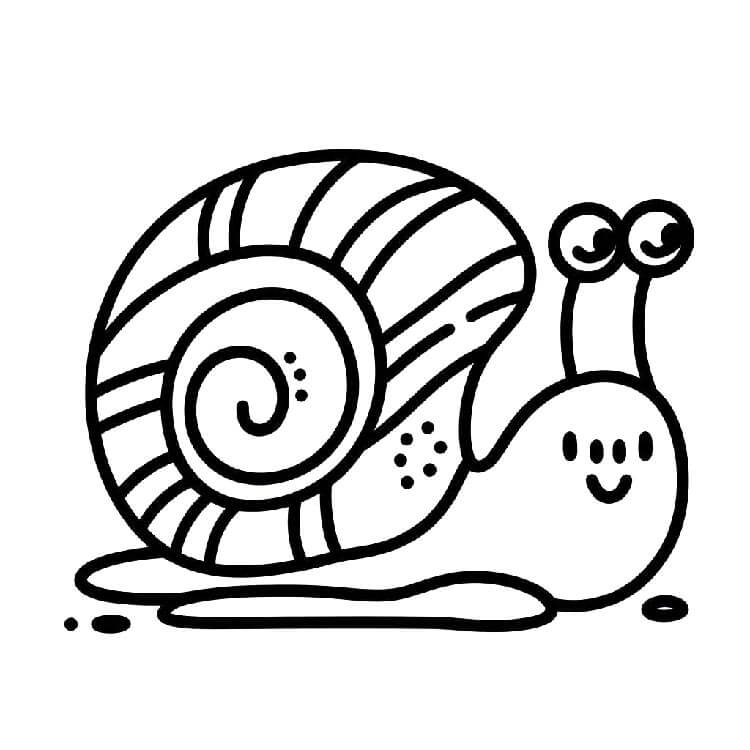 Lumaca per Bimbi di 2 Anni da colorare