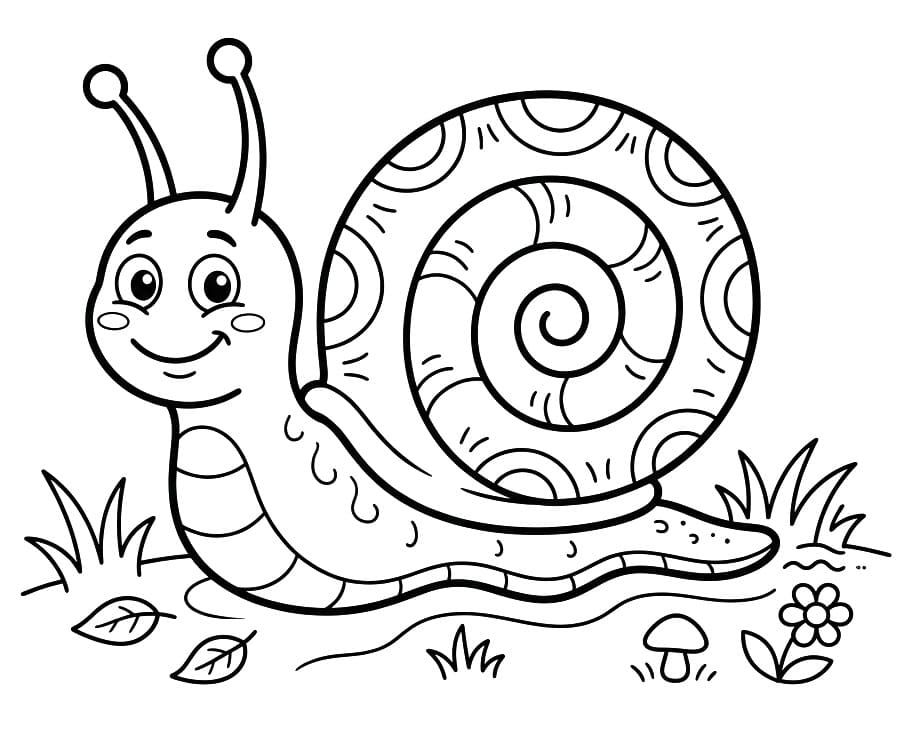 Lumache da colorare