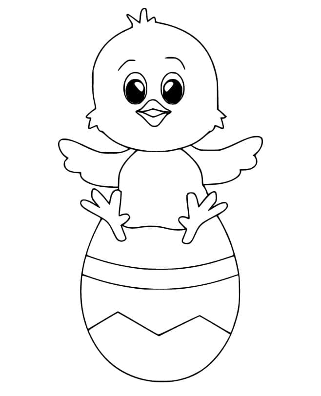 Pulcino di Pasqua Stampabile per Bambini da colorare