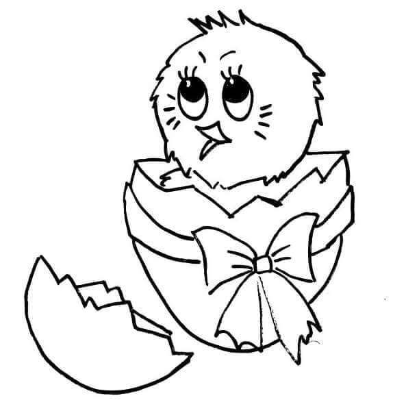 Pulcino di Pasqua da Stampare da colorare
