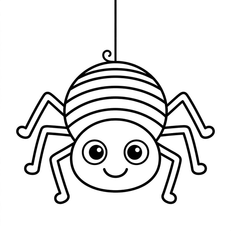 Ragni da colorare