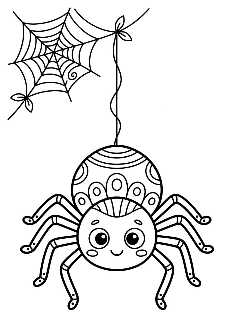 Ragno Semplice da colorare