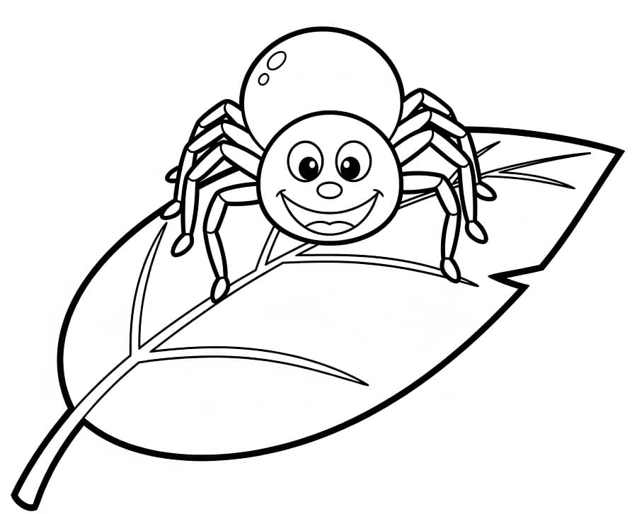 Ragno Stampabile per Piccoli da colorare