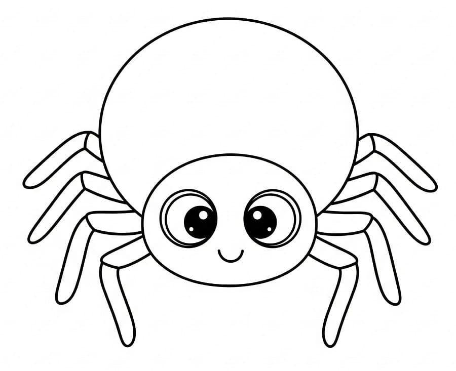 Ragno Tenerissimo da colorare