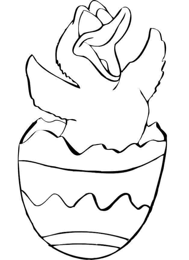 Stampa Pulcino di Pasqua da colorare