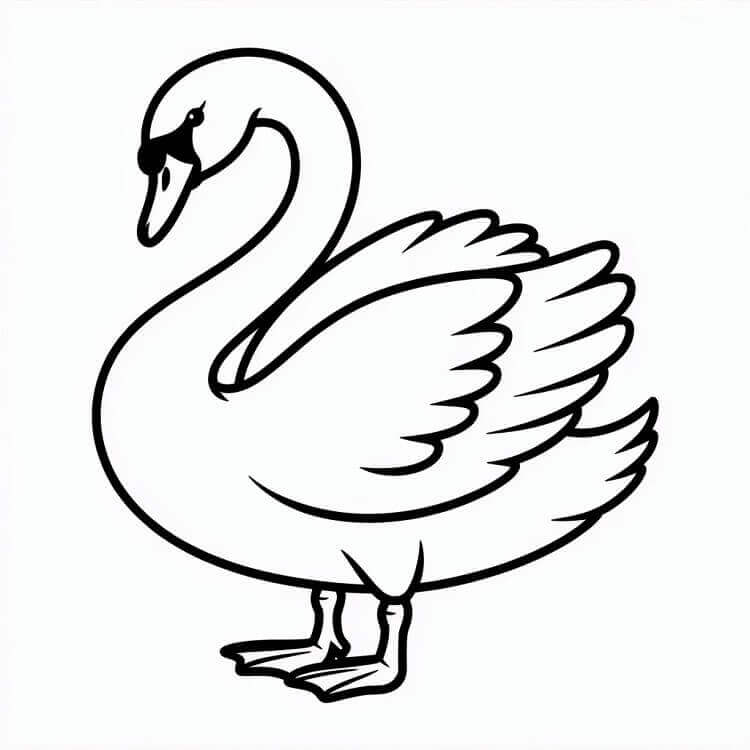 Stampabile Cigno Omaggio da colorare