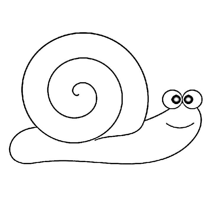 Stampabile Gratis Lumaca da colorare
