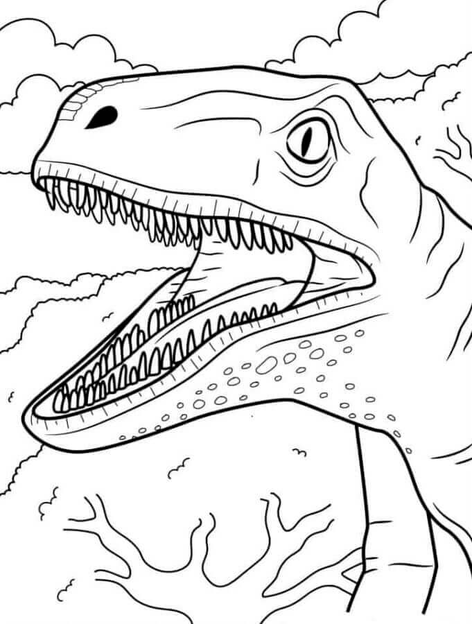 Stampabile Gratis Velociraptor da colorare
