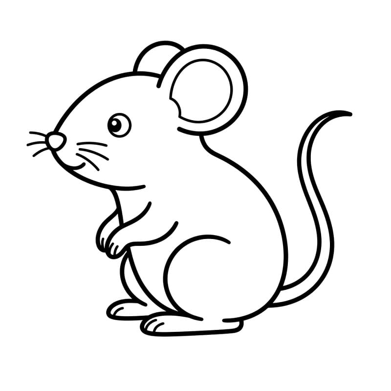 Topo Bebè da colorare