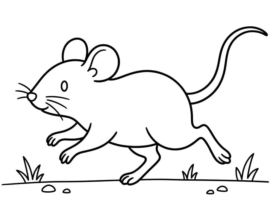 Topo Regalo da colorare