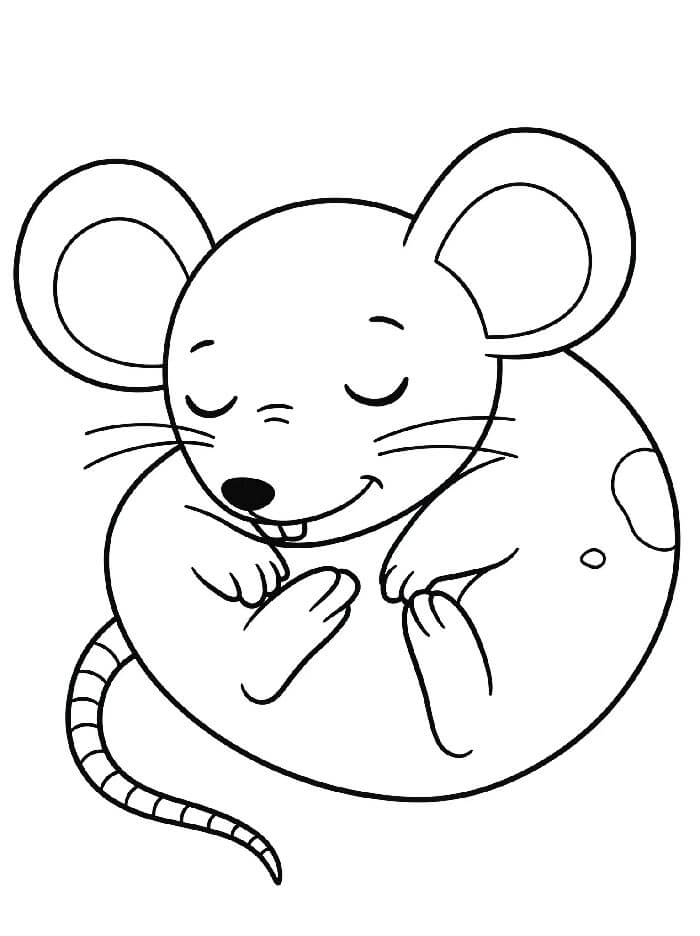 Topo per Bimbi di 4 Anni da colorare