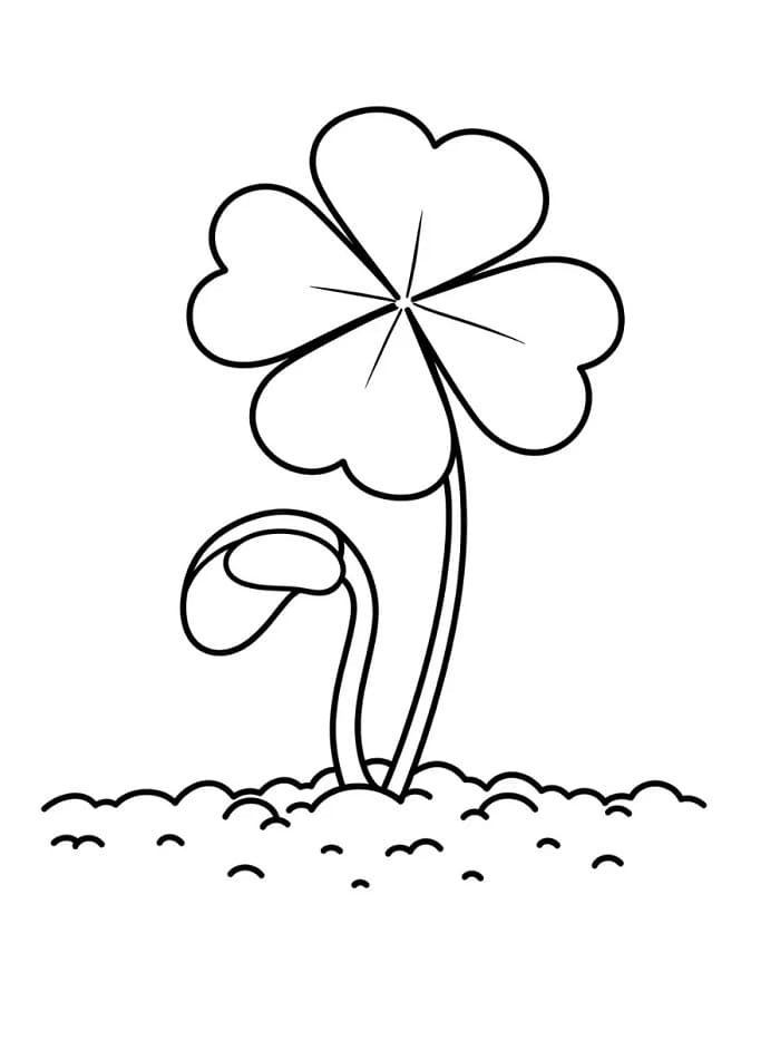 Trifoglio Facile da colorare