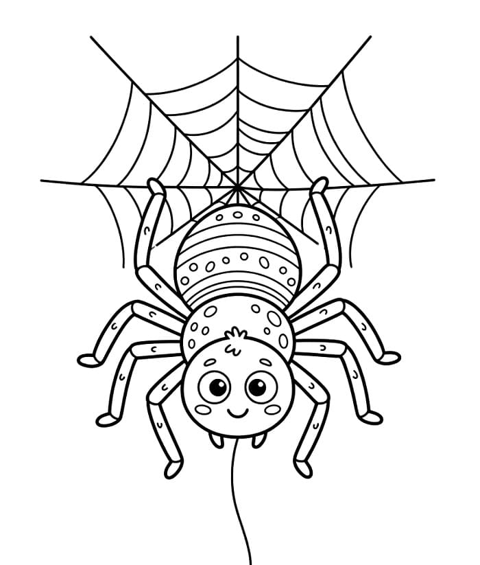 Un Ragno Dolcissimo da colorare
