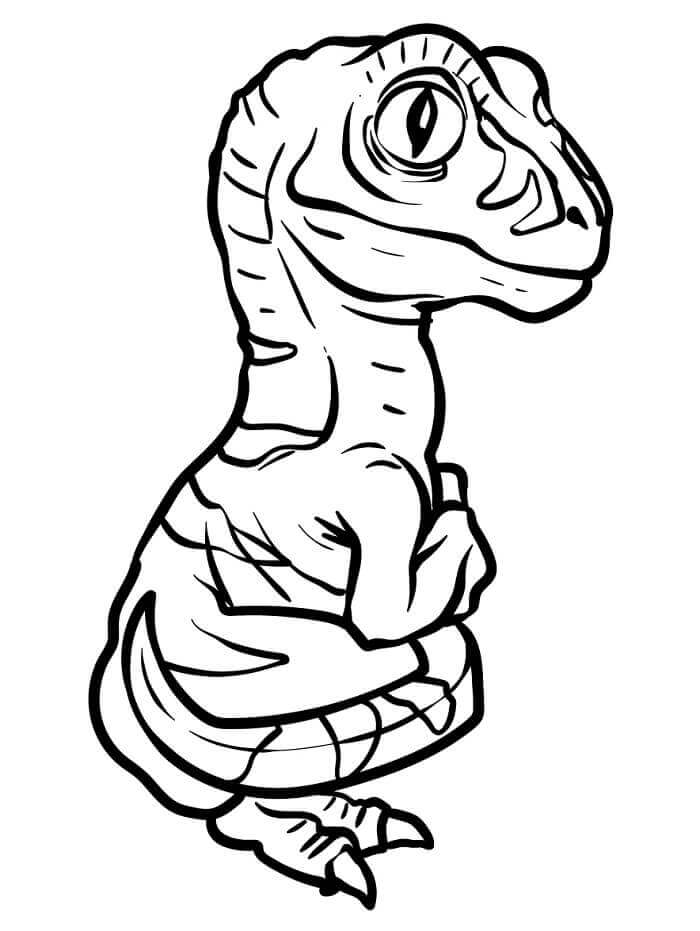 Un Velociraptor Dolcissimo da colorare
