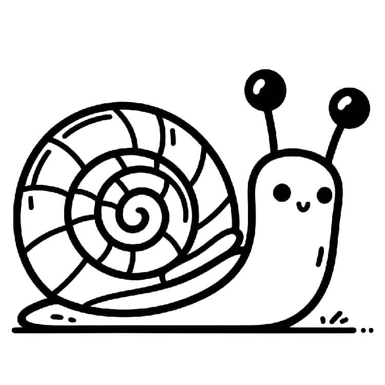 Una semplice lumaca da colorare