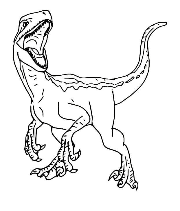 Velociraptor Adorabile da colorare
