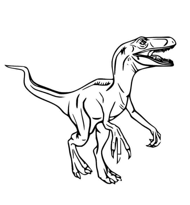 Velociraptor Grazioso da colorare