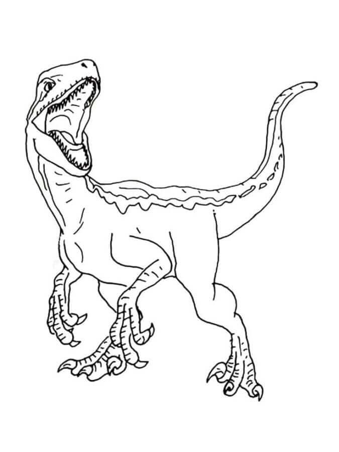 Velociraptor Stampabile Gratis da colorare