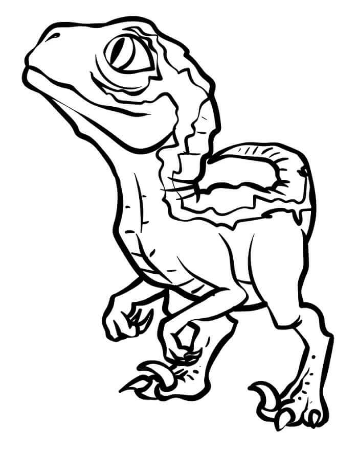 Velociraptor Stampabile per Piccoli da colorare