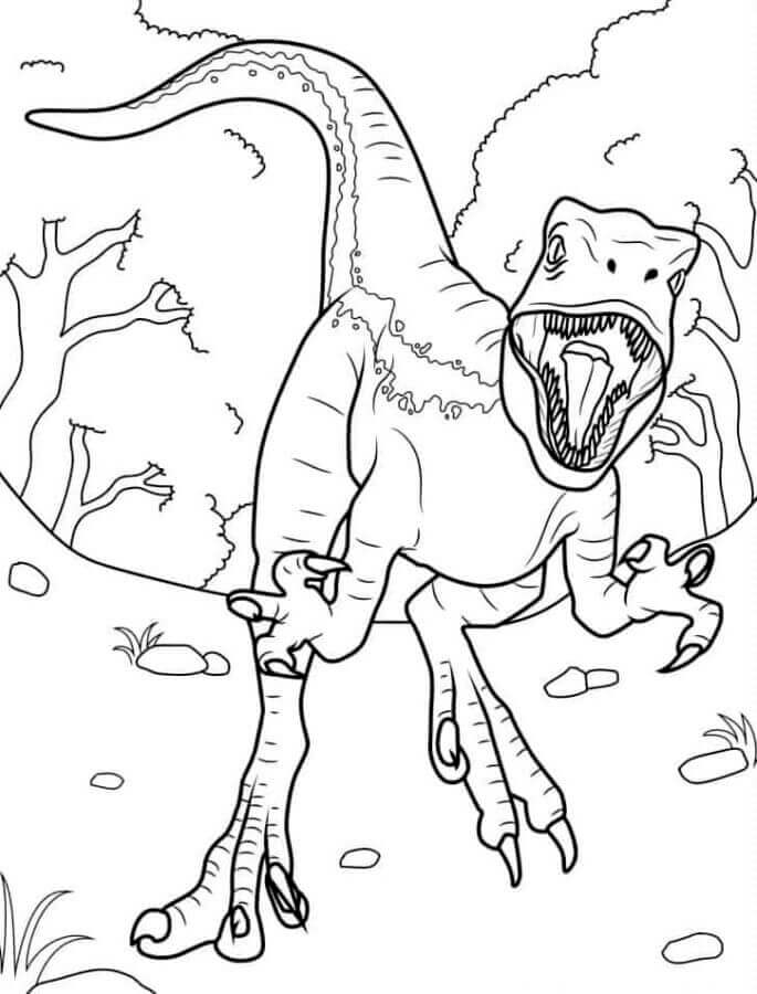 Velociraptor per Bimbi di 3 Anni da colorare