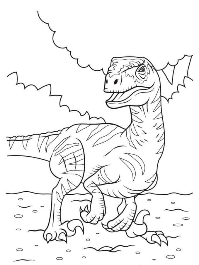 Velociraptor per Bimbi di 4 Anni da colorare