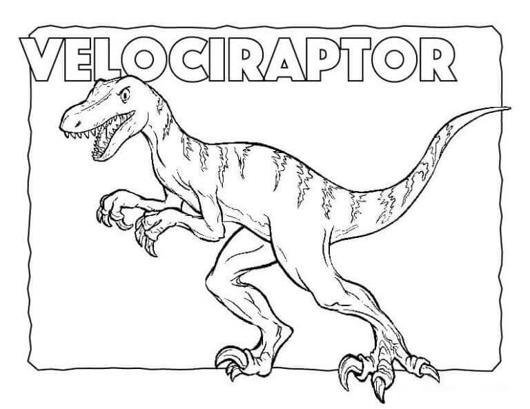 Velociraptor per Bimbi di 5 Anni da colorare