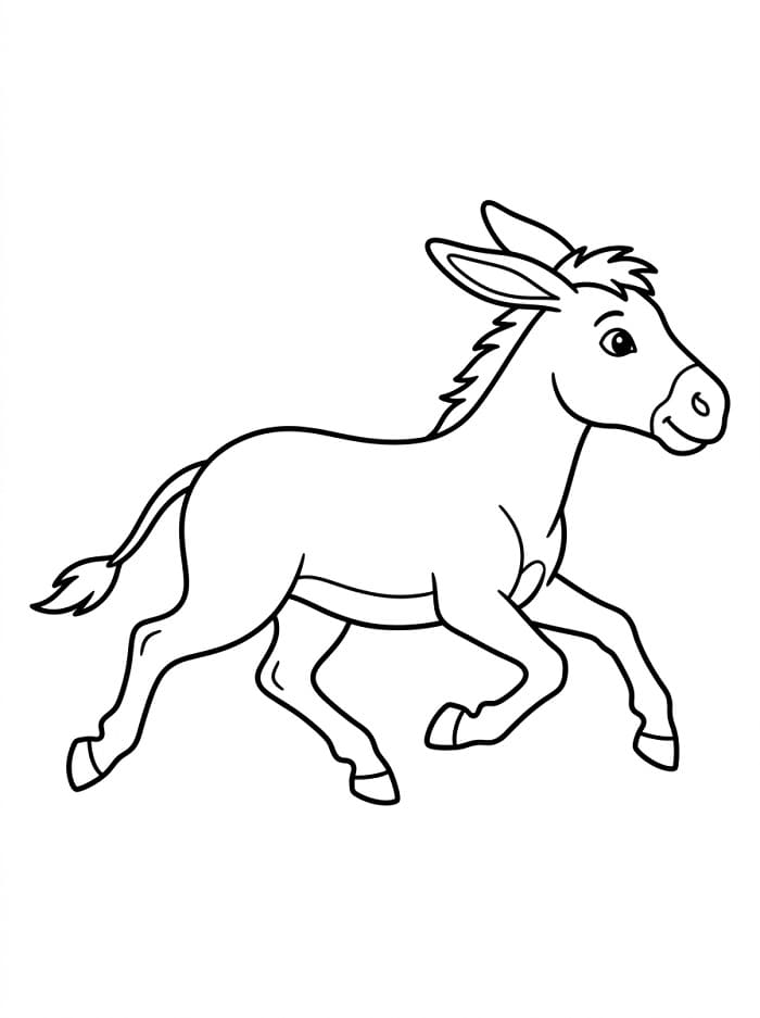 Asino Adorabile da colorare