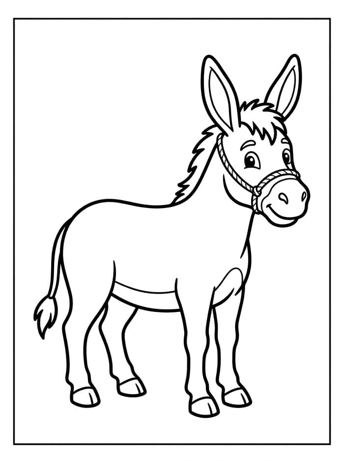 Asino Normale da colorare