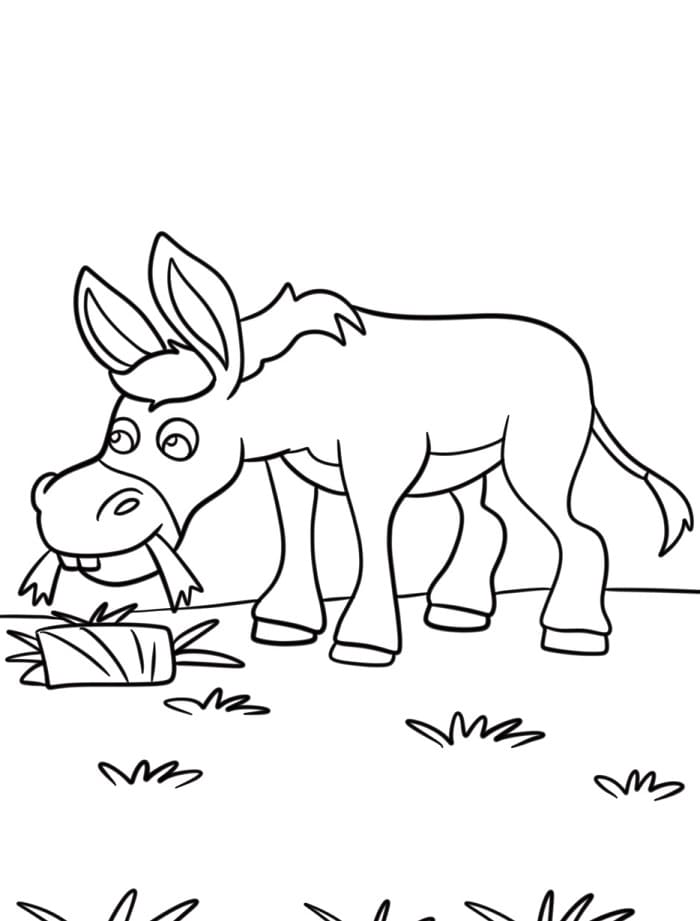 Asino Regalo da colorare