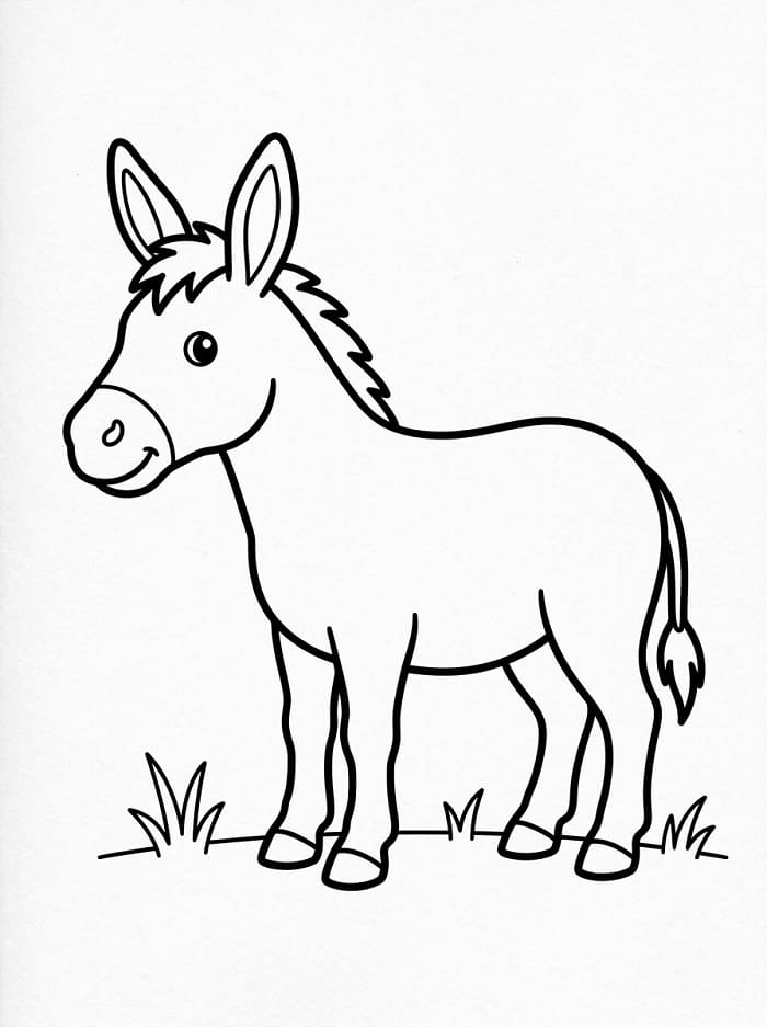 Asino Semplice da colorare
