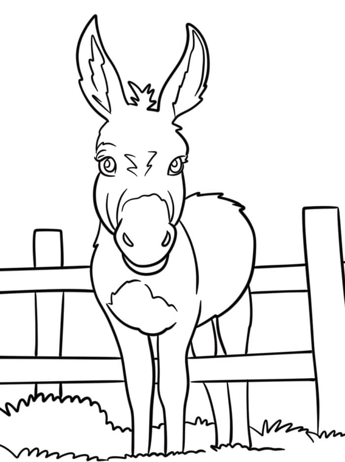 Asino Stampabile Gratis da colorare