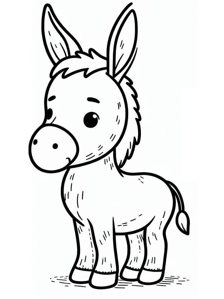Asino per Bimbi di 2 Anni da colorare
