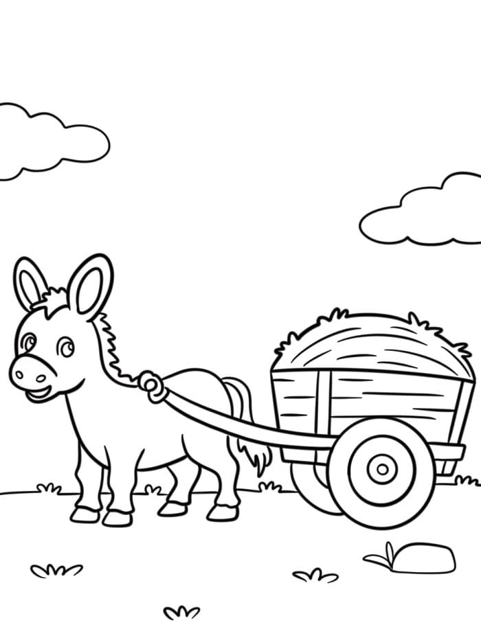Asino per Bimbi da colorare