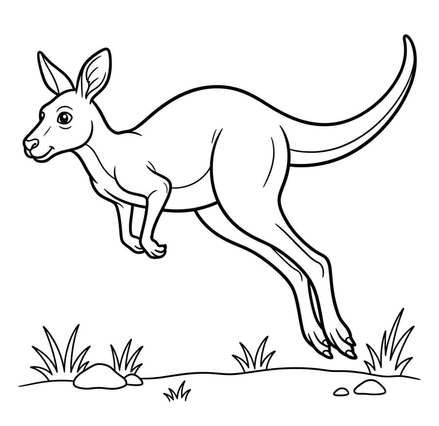Canguro Animato da colorare