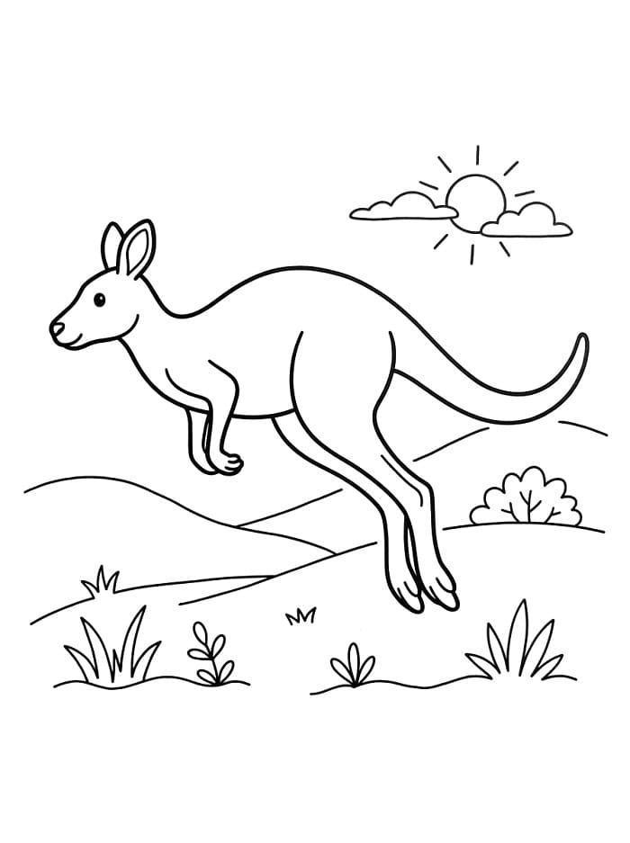 Canguro Carino da colorare