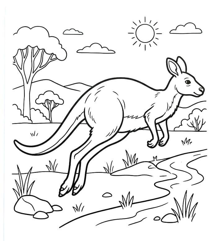 Canguro Cartone da colorare