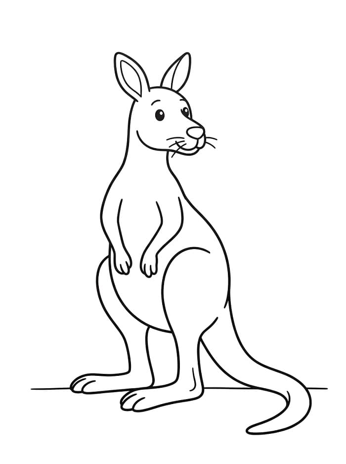 Canguro Elegante da colorare