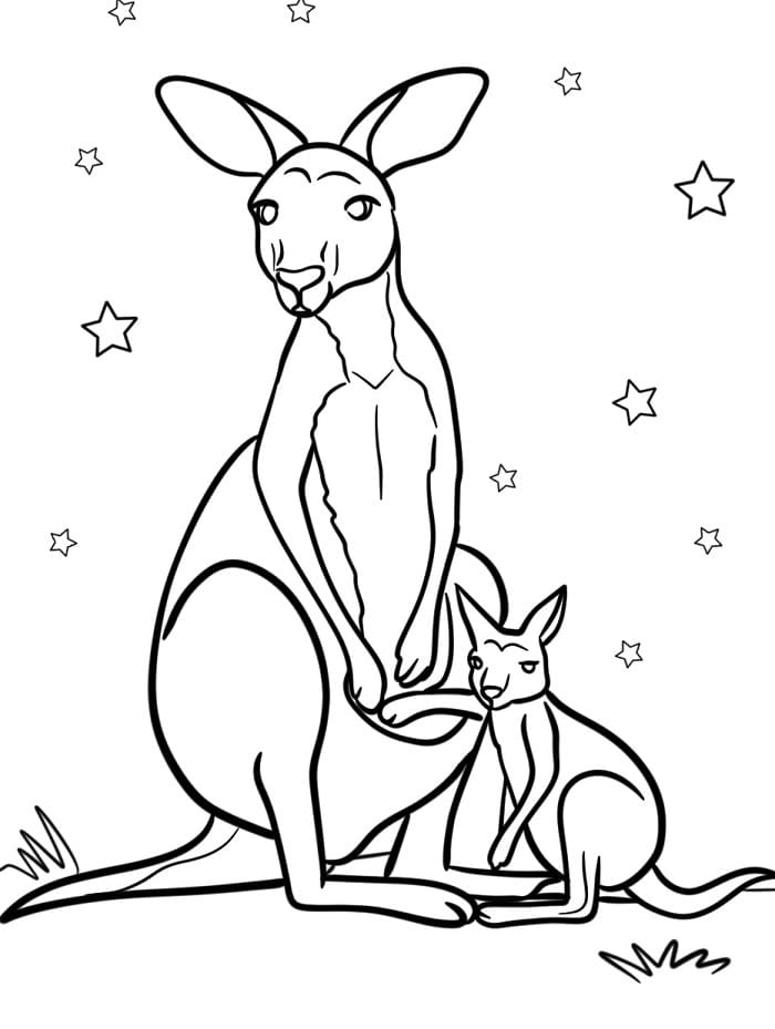 Canguro Fantastico da colorare