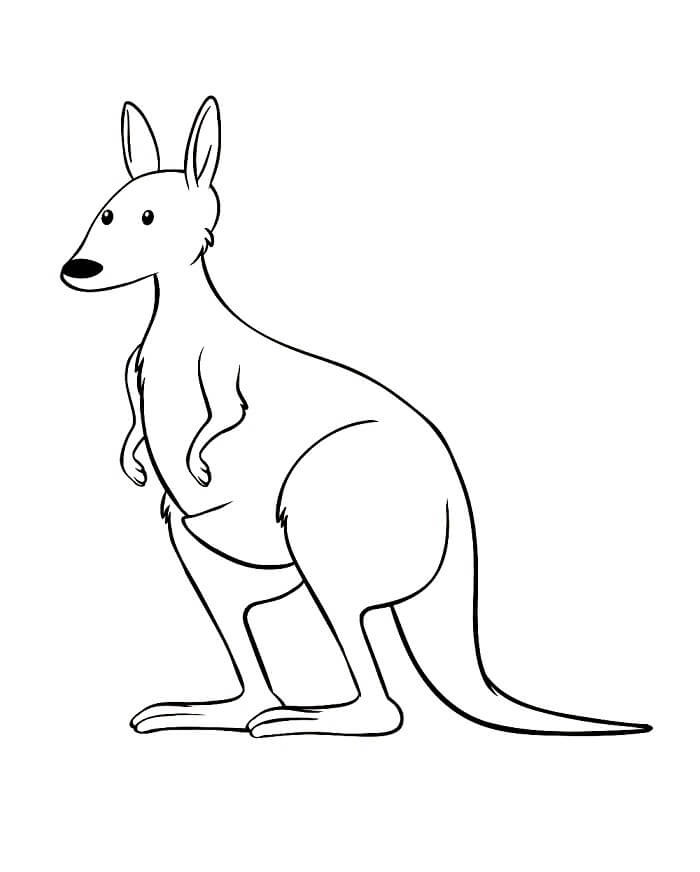 Canguro Immagine Gratis da colorare