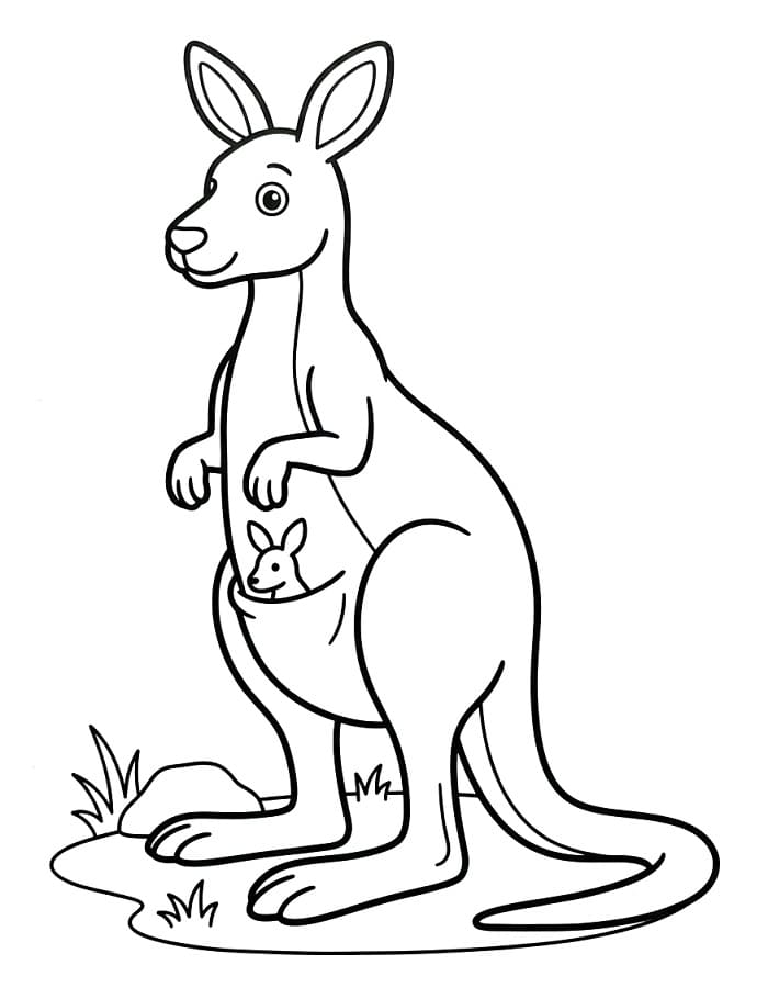 Canguri da colorare