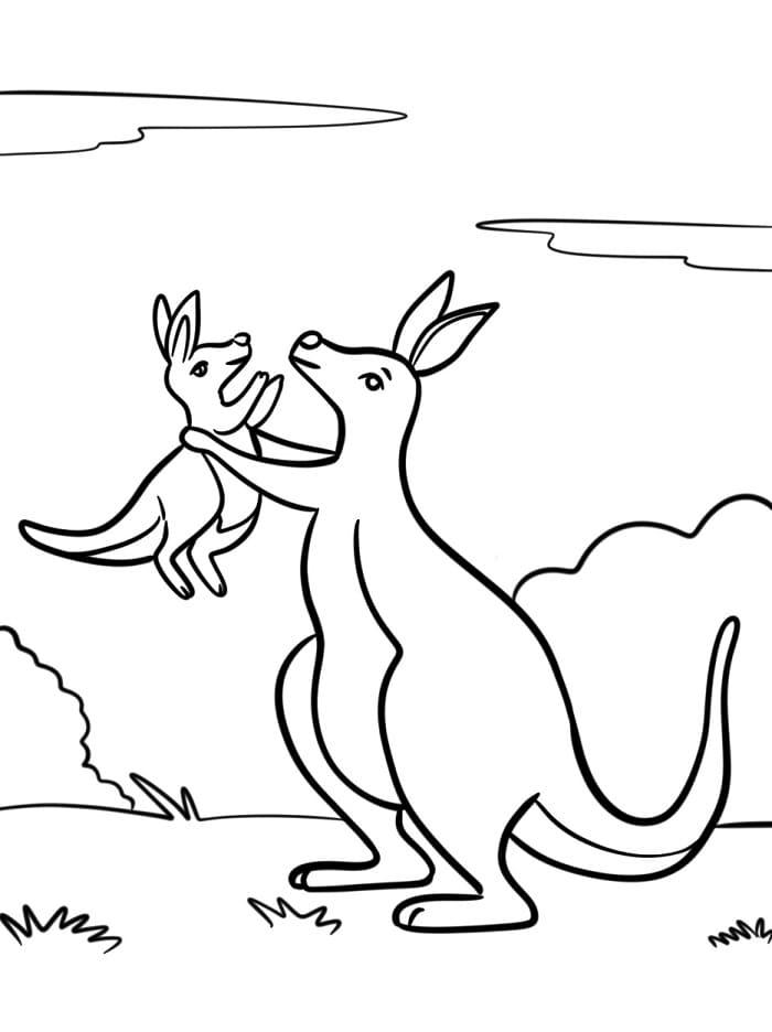Canguro Regalo da colorare