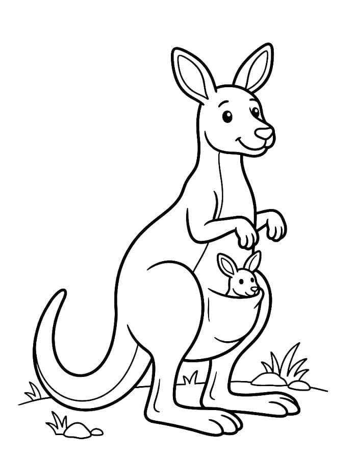 Canguro Semplice da colorare