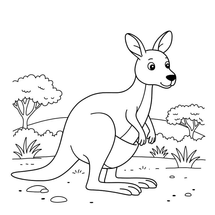Canguro Stampabile per Bambini da colorare
