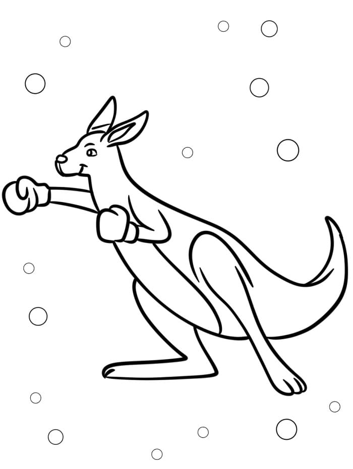 Canguro da Stampare da colorare